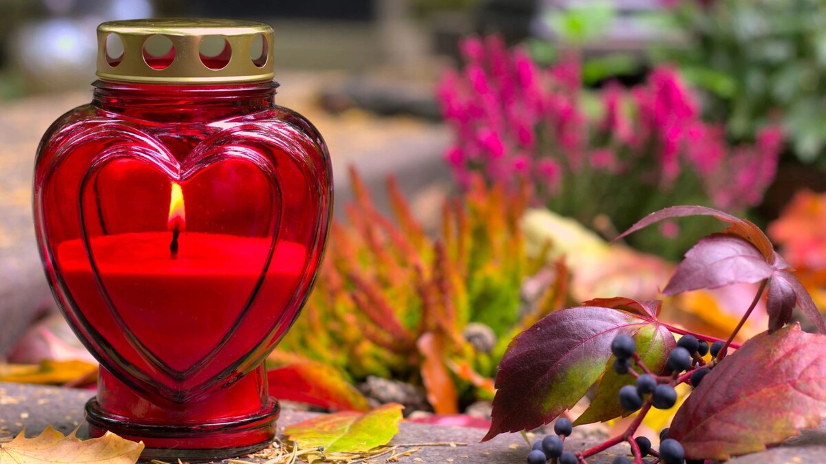    Фото: Tula L/Shutterstock/Fotodom