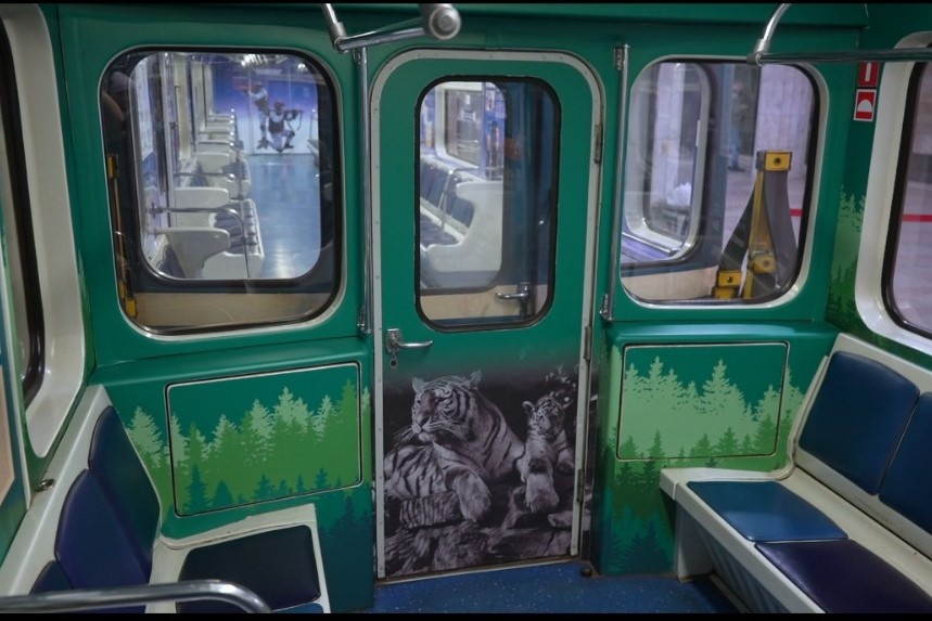    Фото: скриншот видео Новосибирский зоопарк