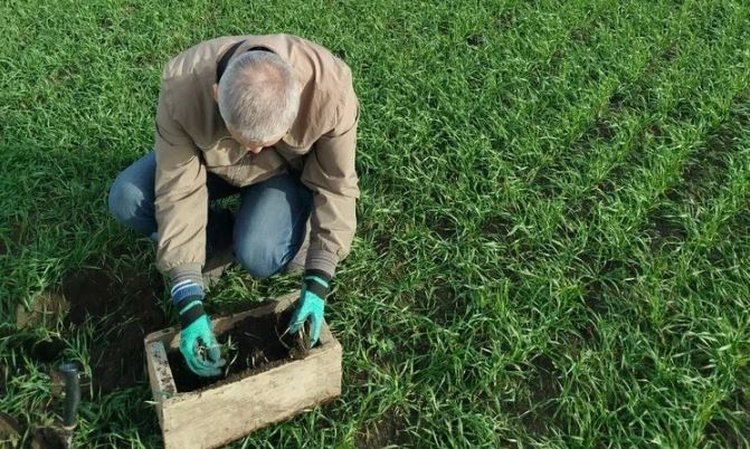   Фото: Служба по связям с общественностью филиала «Донецкий» Российского сельскохозяйственного центра