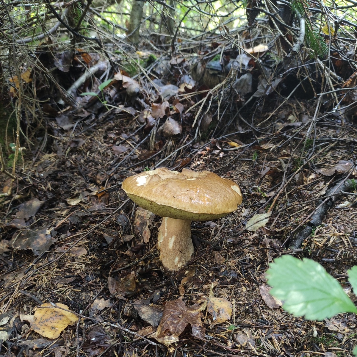 фото от 2 августа