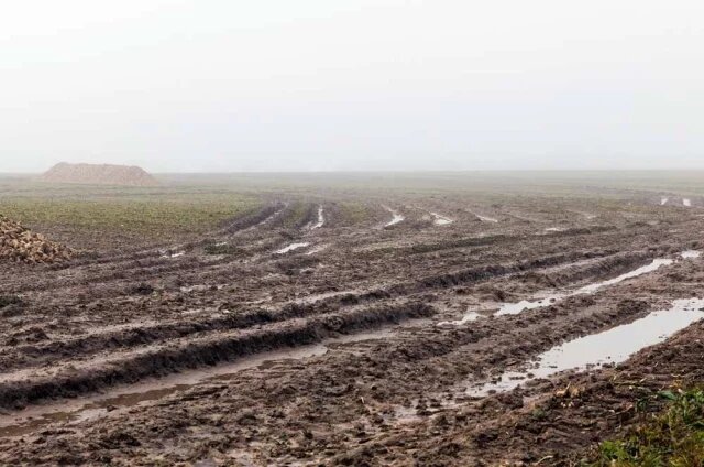    К чему снится грязь?