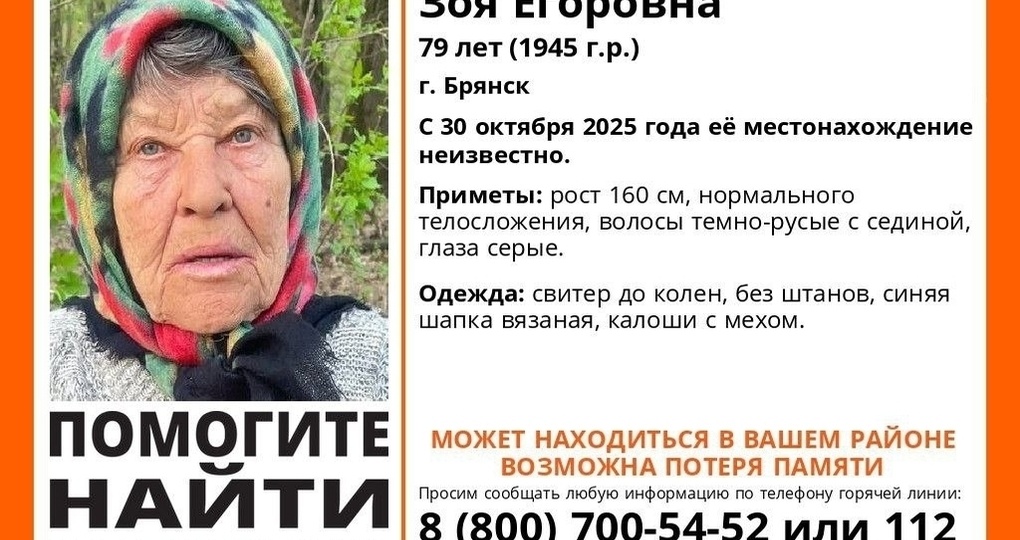 В Брянске ведутся поиски пропавшей 79-летней Зои Прохоровой