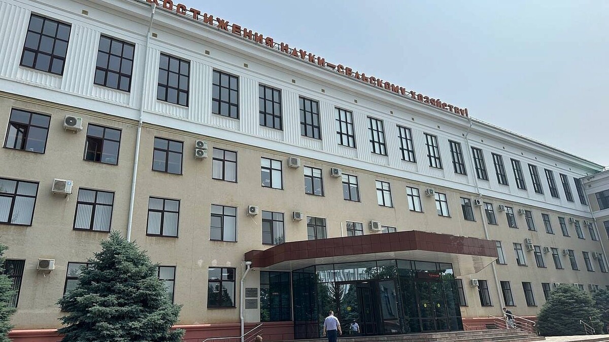    Фото: телеканал «Краснодар»