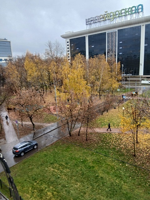 Это вид из моего окна.