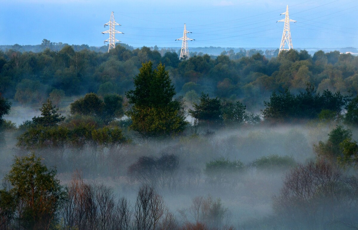     / Источник: © Виктор Драчев/ТАСС