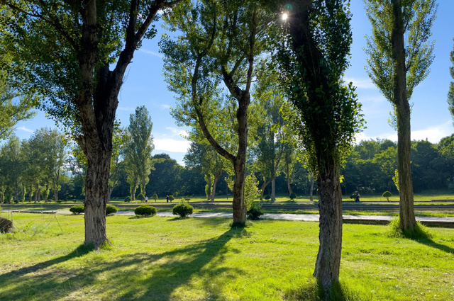    Фото: Shutterstock.com