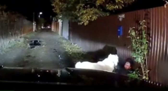 Иллюстрация: НТВ