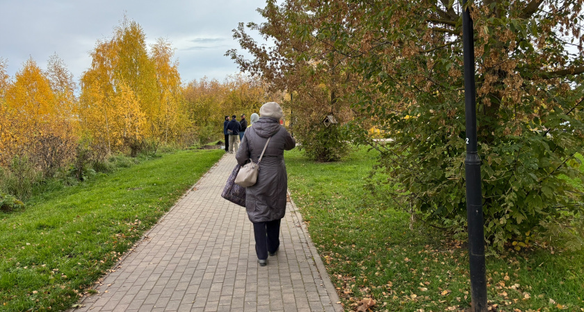    Опубликован обновленный график выхода на пенсию - пункты по годам