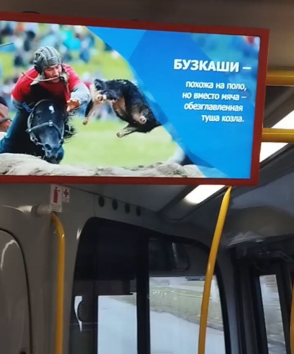 Кадр видео из владимирского автобуса (источник – соцсети)