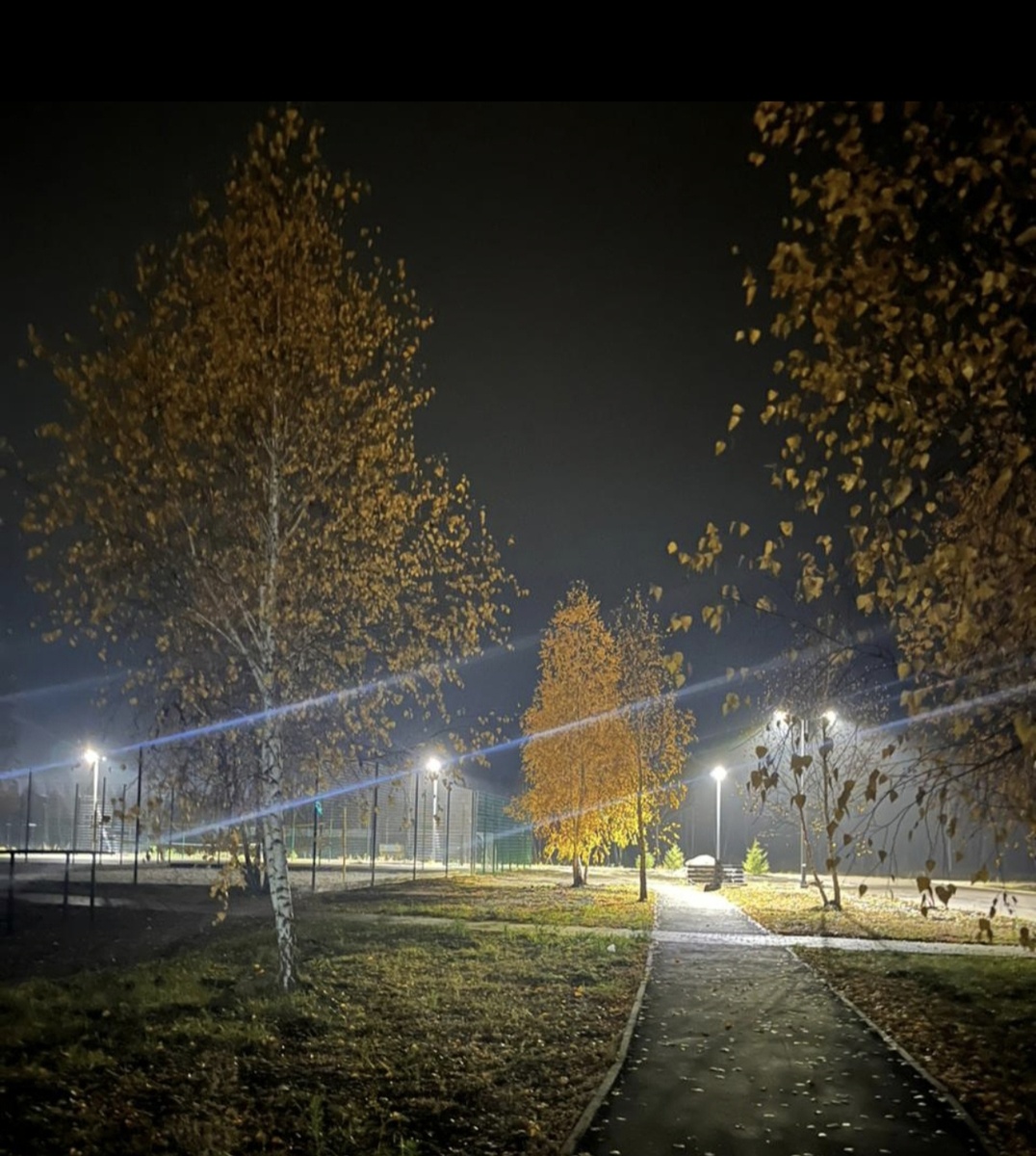 Все фотографии в статье авторские