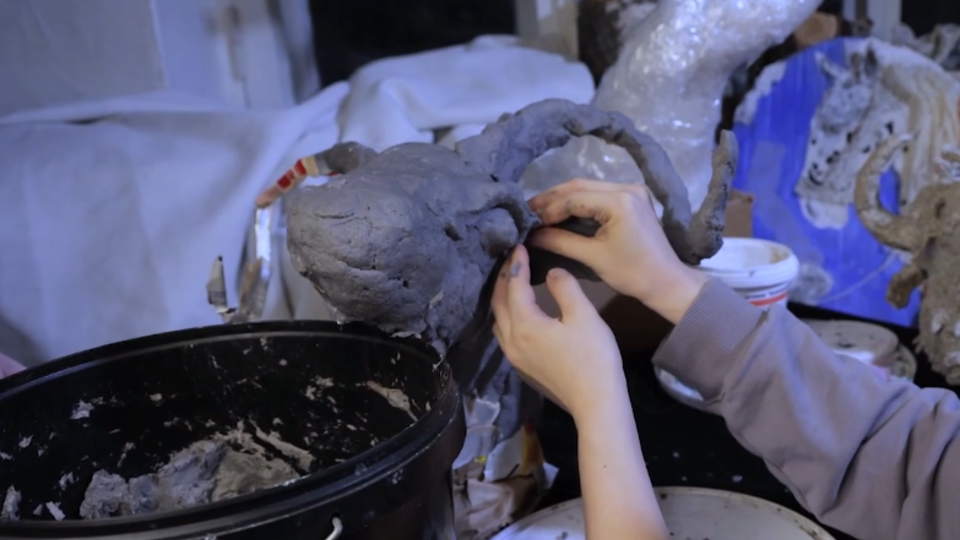 Фото: © Кадр из программы "Купи-продай", РЕН ТВ