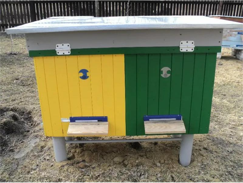 Двухсекционный улей с разделительной вертикальной перегородкой.