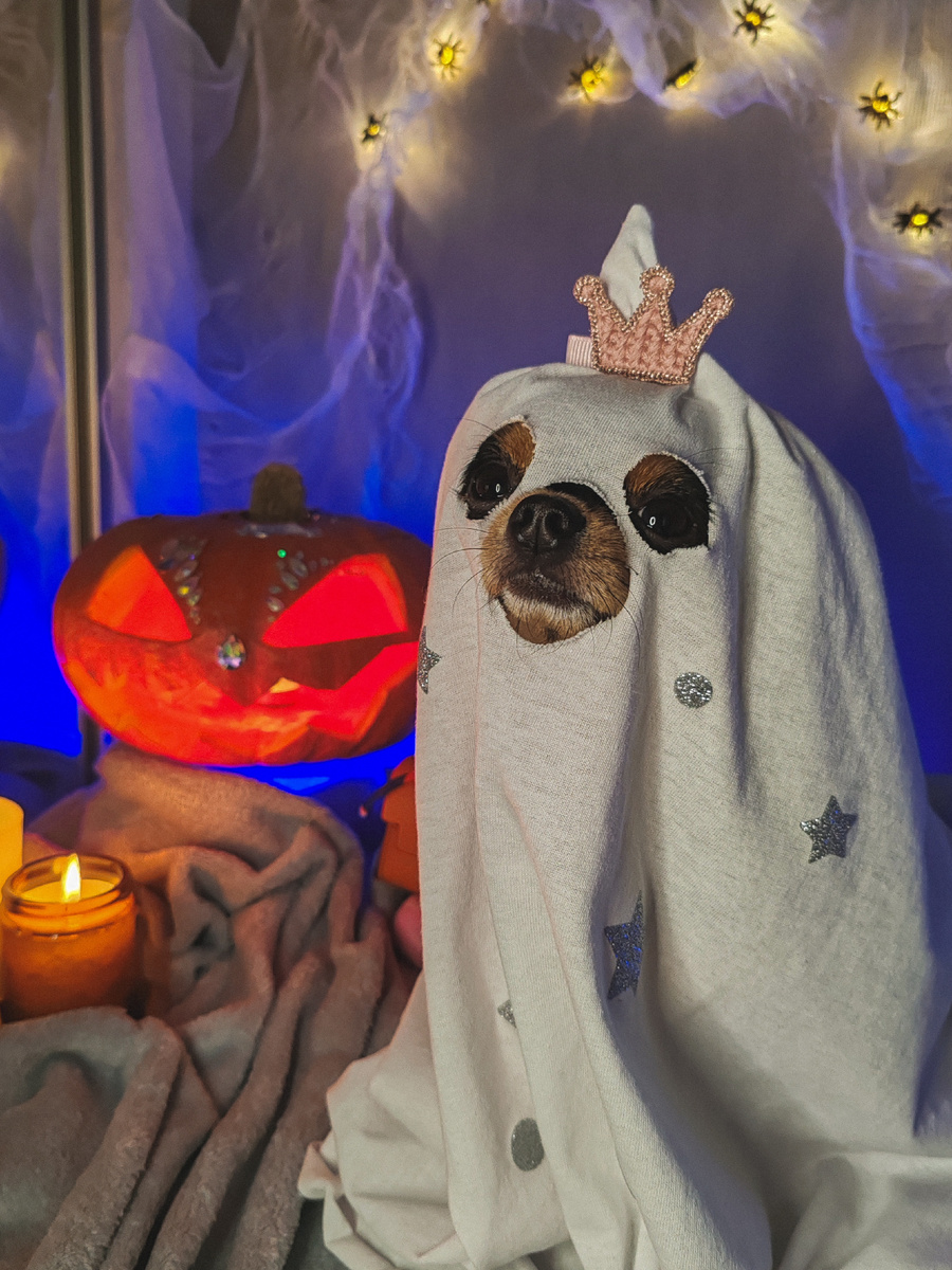 Все знают Каспера... Он душа компании — милый, дружелюбный, появляется ниоткуда с залихватской улыбкой. Но там, где он оставляет за собой шлейф легкого морозца, ОНА оставляет след.

Её зовут Эмми. И пока Каспер развлекает публику, разгуливая сквозь стены, она делает нечто более дерзкое: она завоевывает пространство. В её глазах плескается бездна, видевшая больше, чем простые смертные. Она не нуждается в способности становиться невидимой — её присутствие настолько ярко, что забыть его просто невозможно.

Они идеальный дуэт контрастов: он — эфемерный шепот, она — оглушительный аккорд. 

Её магия не в умении летать, а в умении оставаться. Пока призраки растворяются с первыми лучами солнца, образ Эмми — дерзкий, стильный и невероятно живой — продолжает жить в воспоминаниях каждого, кто ее когда-либо видел. 

«Каспер учит исчезать. А я — сиять так, чтобы о вас помнили».

Ваша Эмми - подружка Каспера 👻🐶😁.