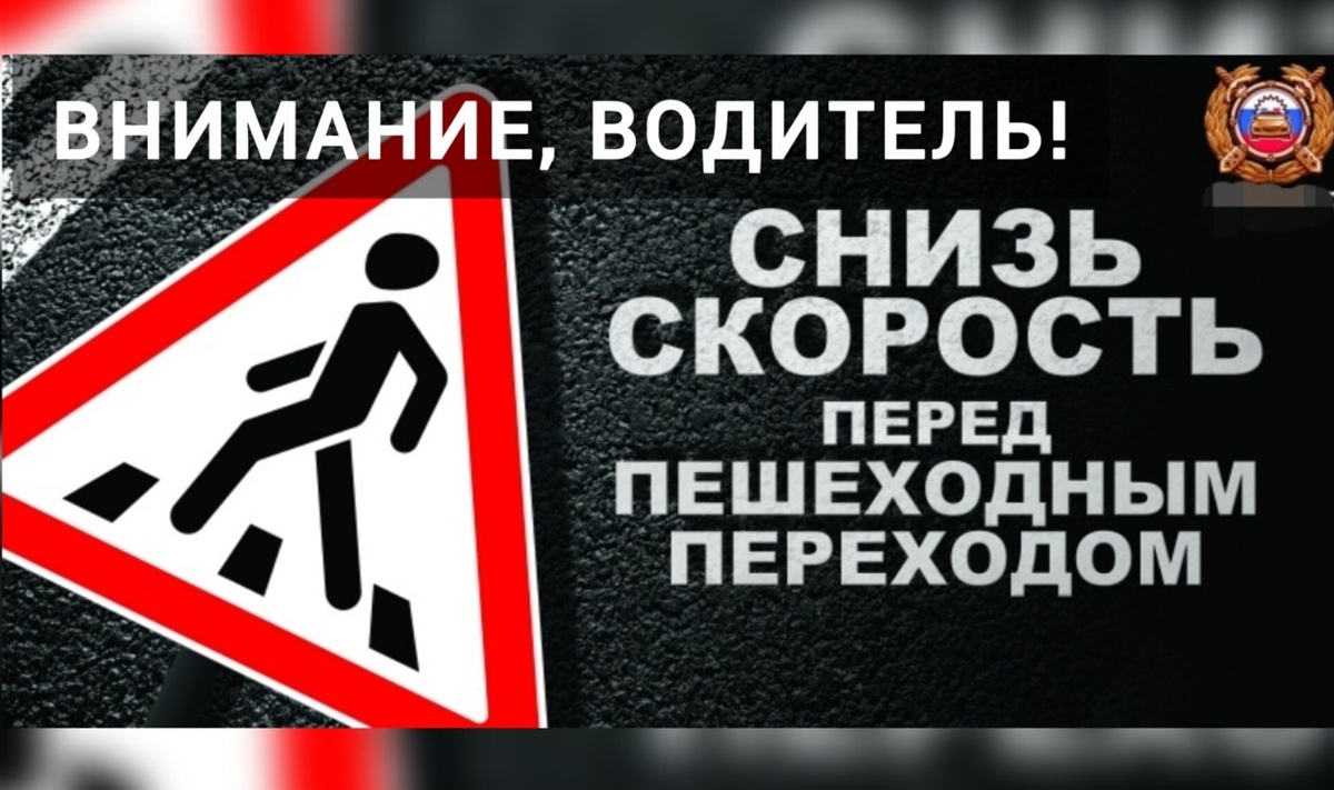    В Сургуте проводится профилактическое мероприятие «Пешеход»