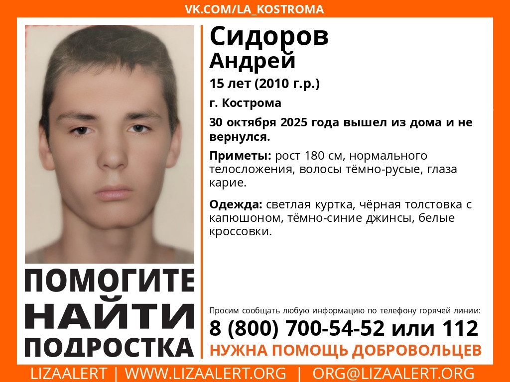   Фото: костромской п/о «ЛизаАлерт»