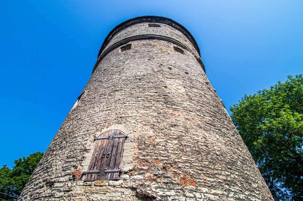    Фото: istockphoto.com