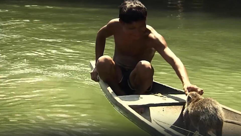 ФОТО: Кадр из программы "Тайны Чапман", РЕН Т