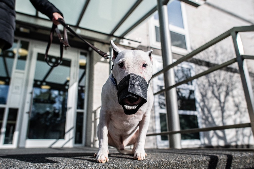    Фото © Dpa / picture-alliance / ТАСС