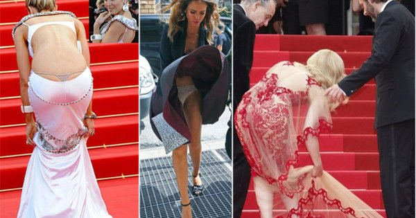 Фото из свободных источников.