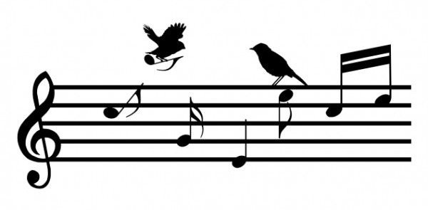 8.5 минут - длина = 44 Луча. Пять строк и 8 нот. БОЗОН = 58, = Храм, базилика. Единство.