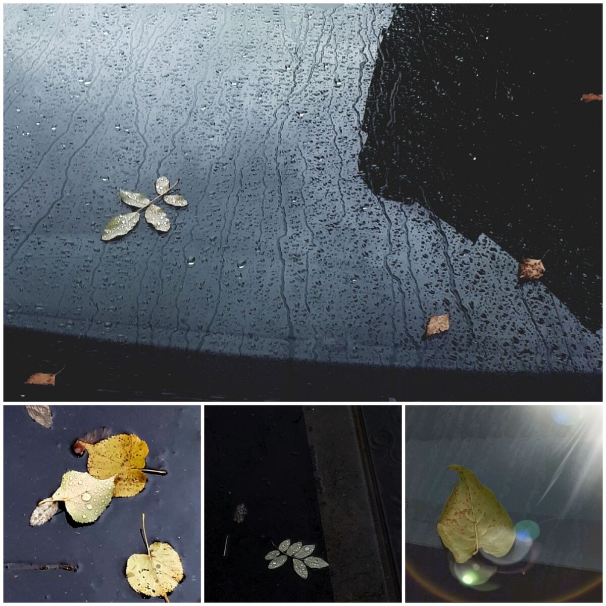 Коллаж автора статьи 31.10.2025г.