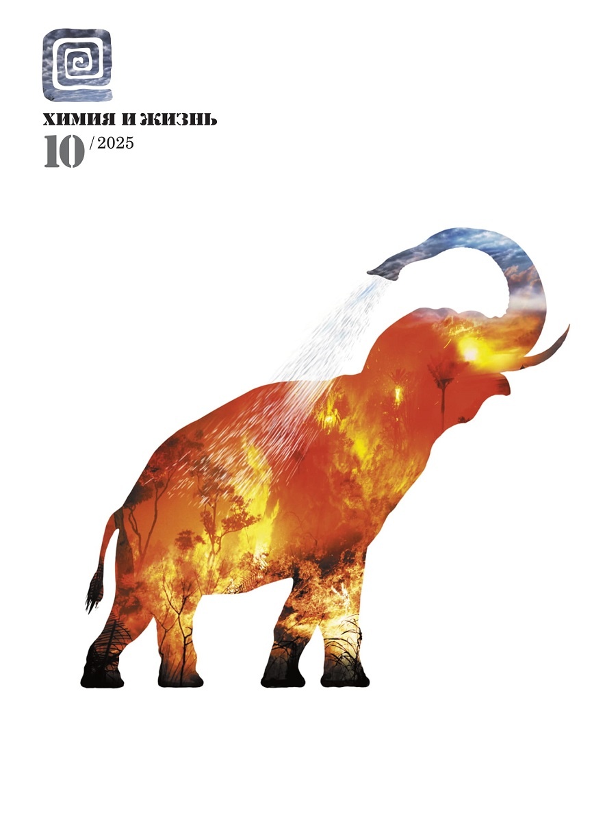 Дизайн обложки: Александр Кук