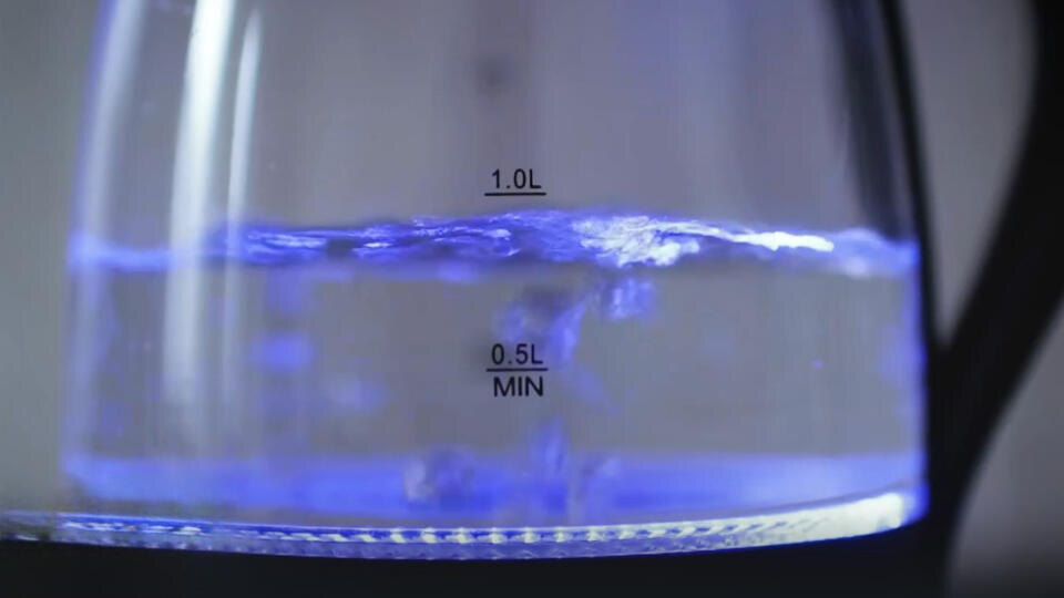 ФОТО: Кадр из программы "Знаете ли вы, что?", РЕН ТВ