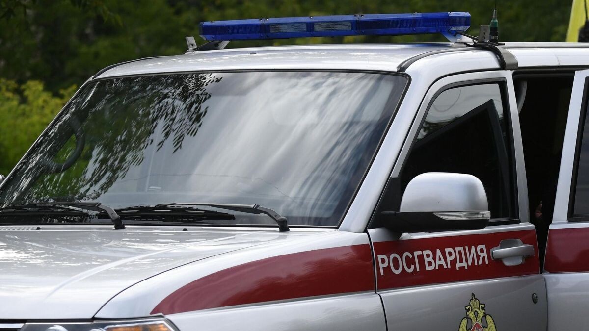     Автомобиль Росгвардии. Источник: © РИА Новости Автор фото: Илья Наймушин