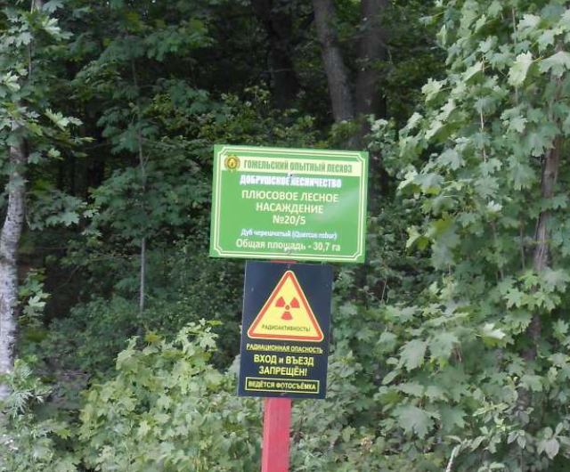 10 самых странных анклавов мира, о которых вы никогда не слышали