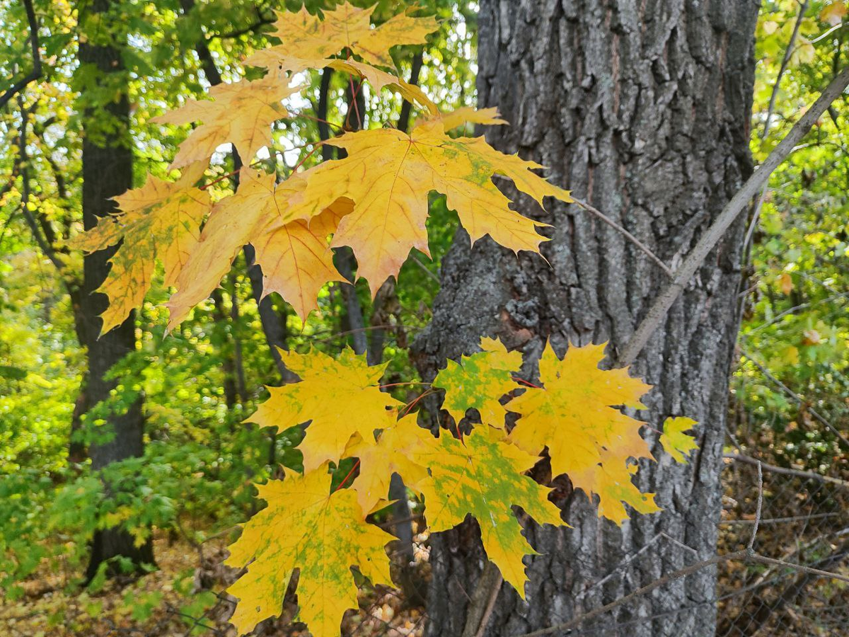 Фото автора.