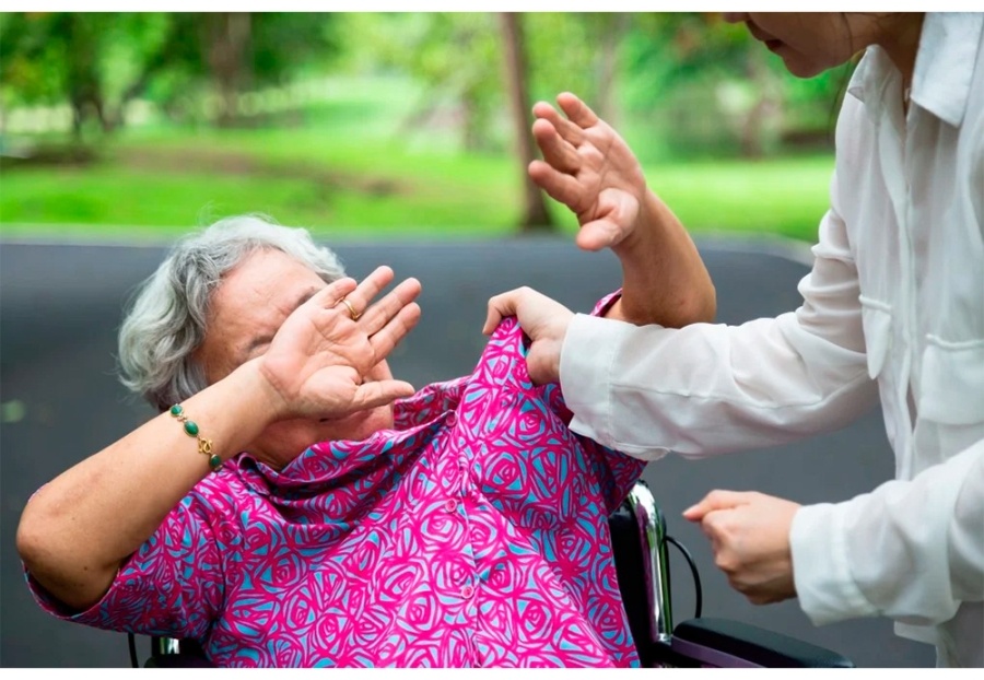     Защита пожилых и инвалидов — на Минщине стартовала кампания против домашнего насилия
