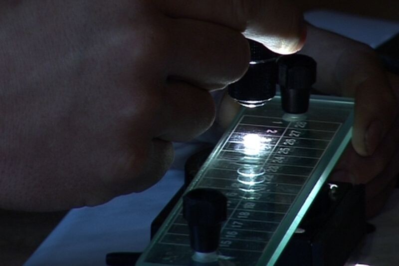    Фото: Россельхознадзор Иван Воробьев