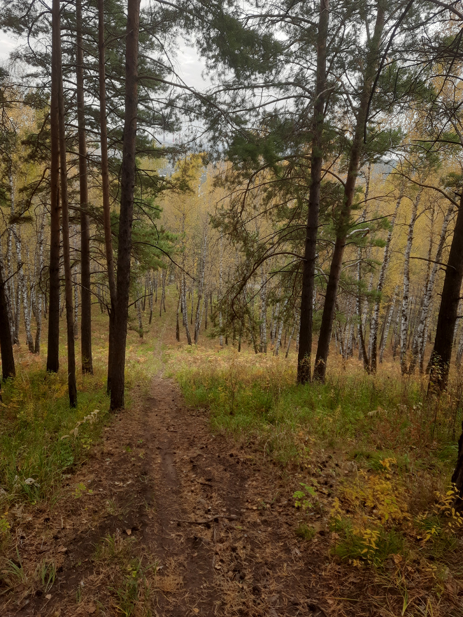 Хребет Арга