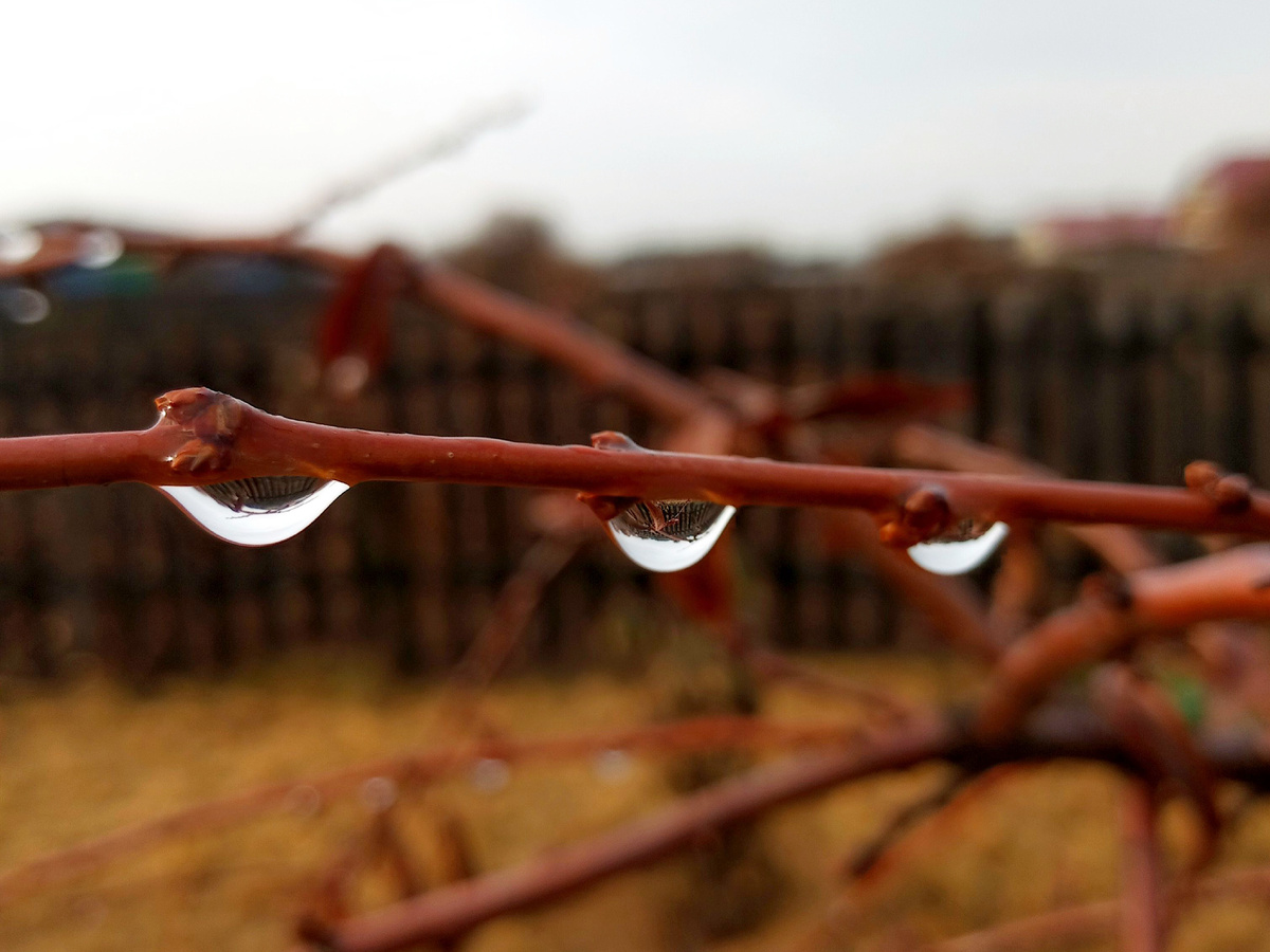 Прощальные слезы октября. 