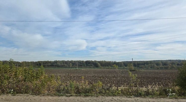    Фото: Лукьянов Дмитрий, AgroXXI.ru