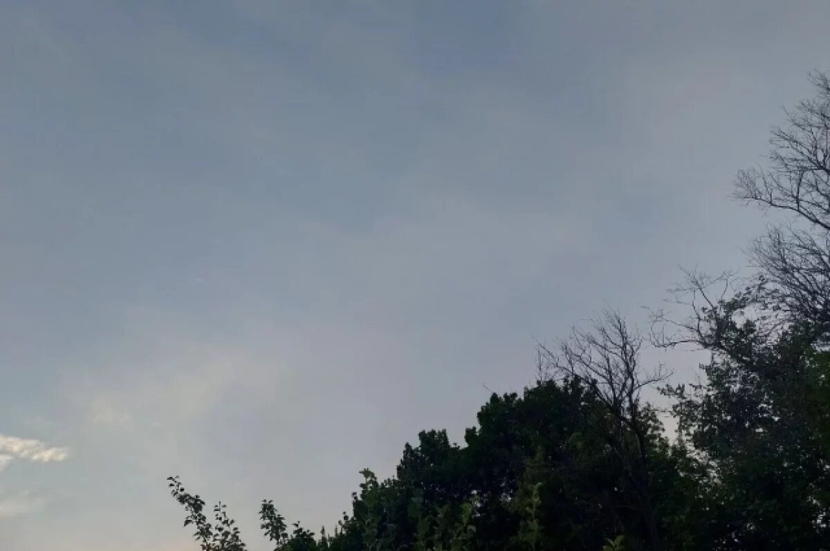    Ложкин: пензенцы, что выкладывают фото БПЛА в сеть, помогают противнику