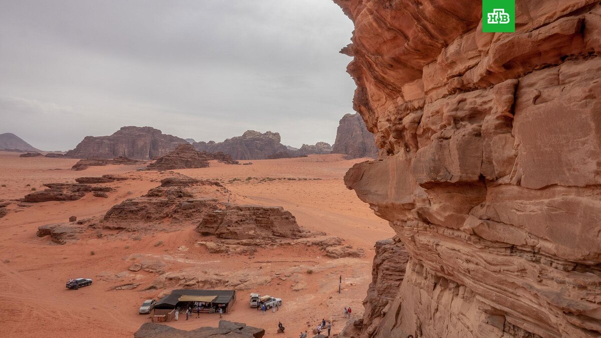    Фото: wirestock / freepik.com