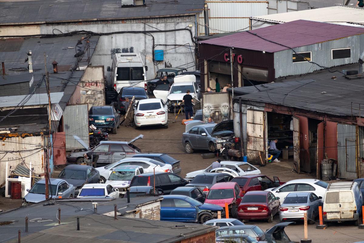 Фото: Дмитрий Фуфаев
