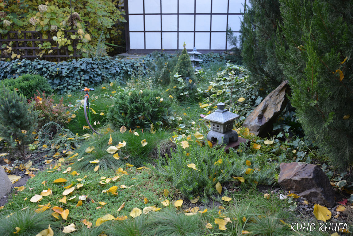 Японский сад. Уголок моего двора