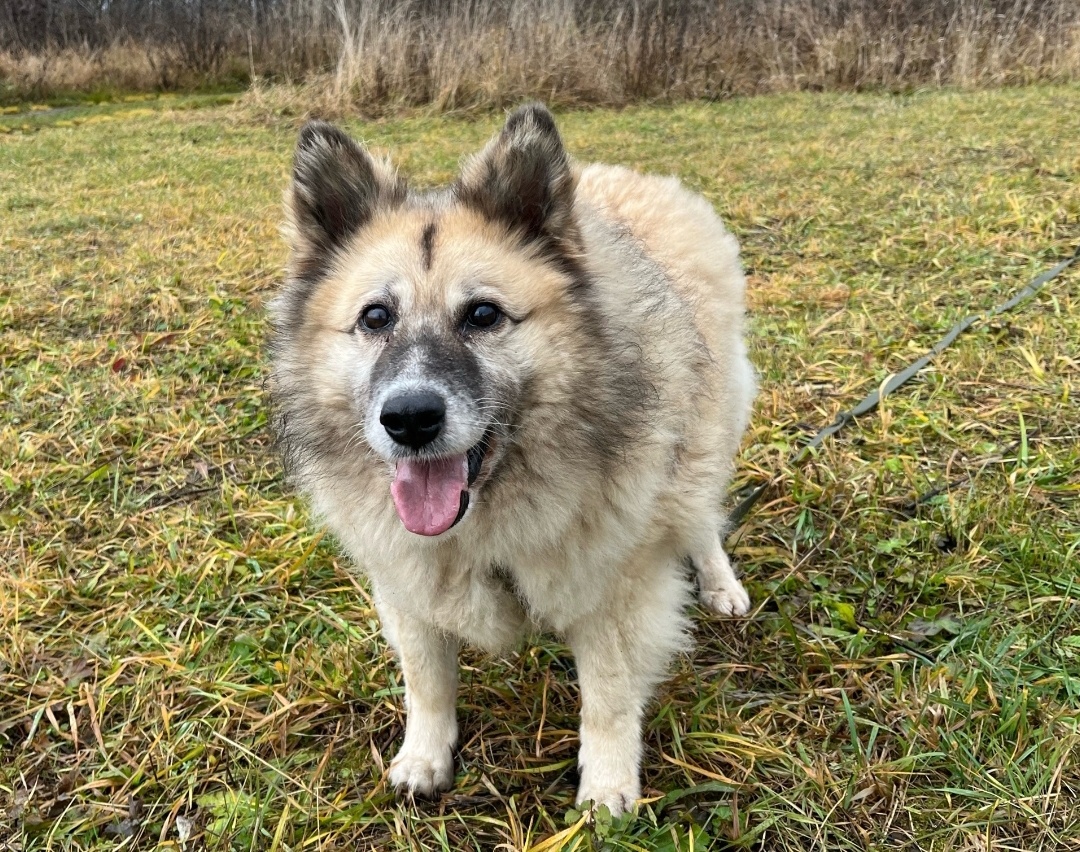 Мишель около 10 лет 