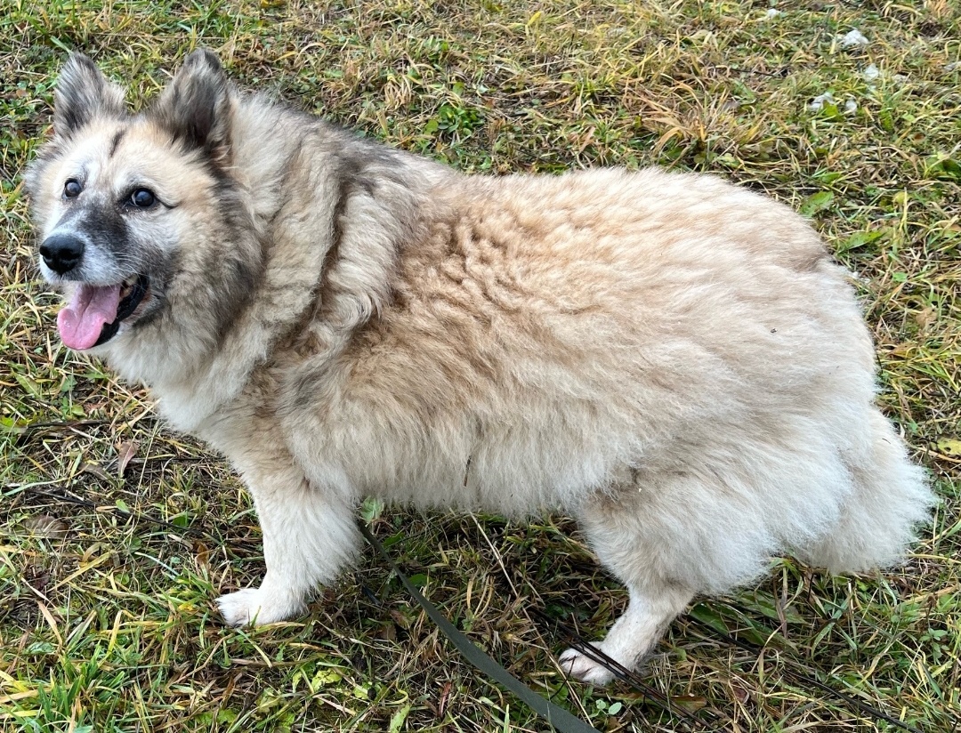 Сентябрь 2025