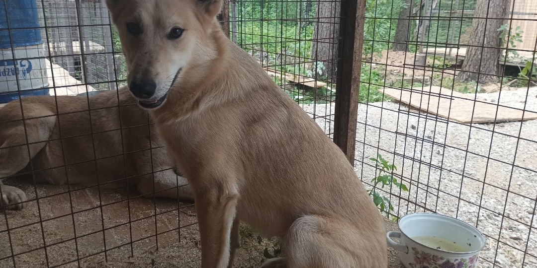 Мишель и две ее дочки Индиго