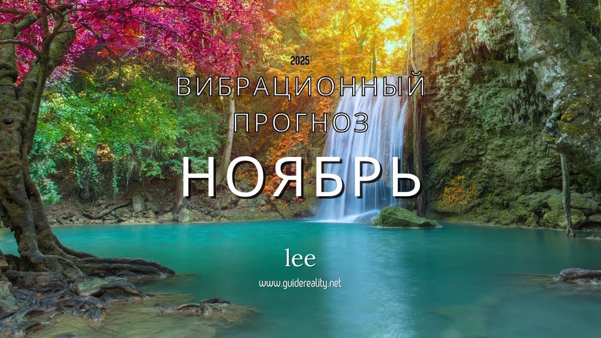 Вибрационный прогноз от lee на ноябрь 2025 года