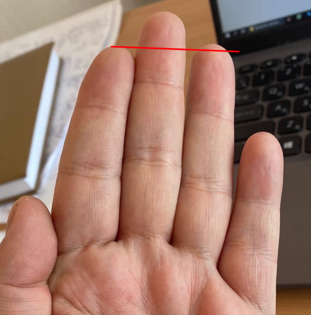 Указательный короче безымянного