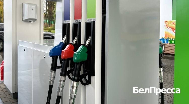 Фото: Анастасия Шебаева