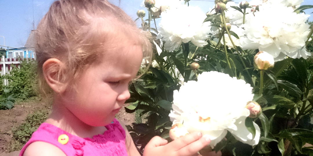 Как цветы переросли в бизнес?