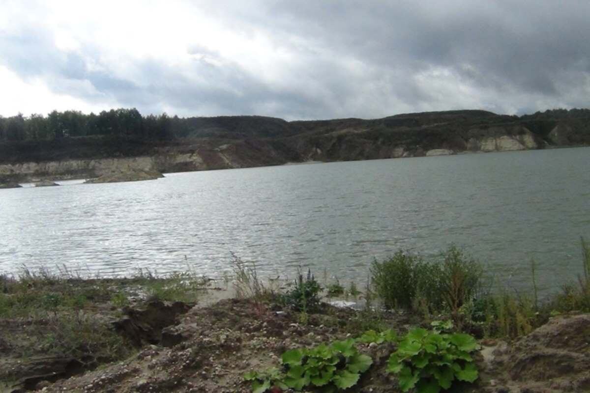    Фото: Волжско-Камское межрегиональное управление Росприроднадзора, источник: pravdapfo.ru