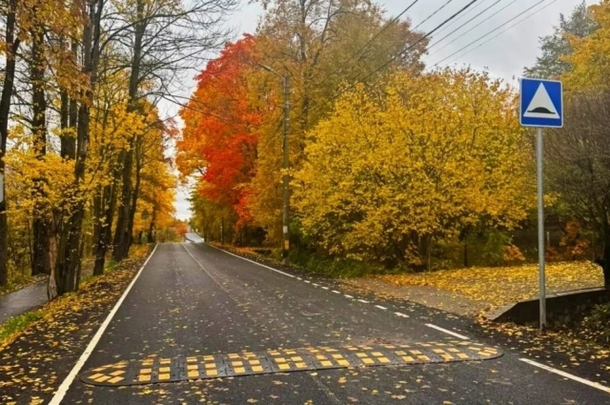    До +10 градусов ожидается в Псковской области в первые дни ноября
