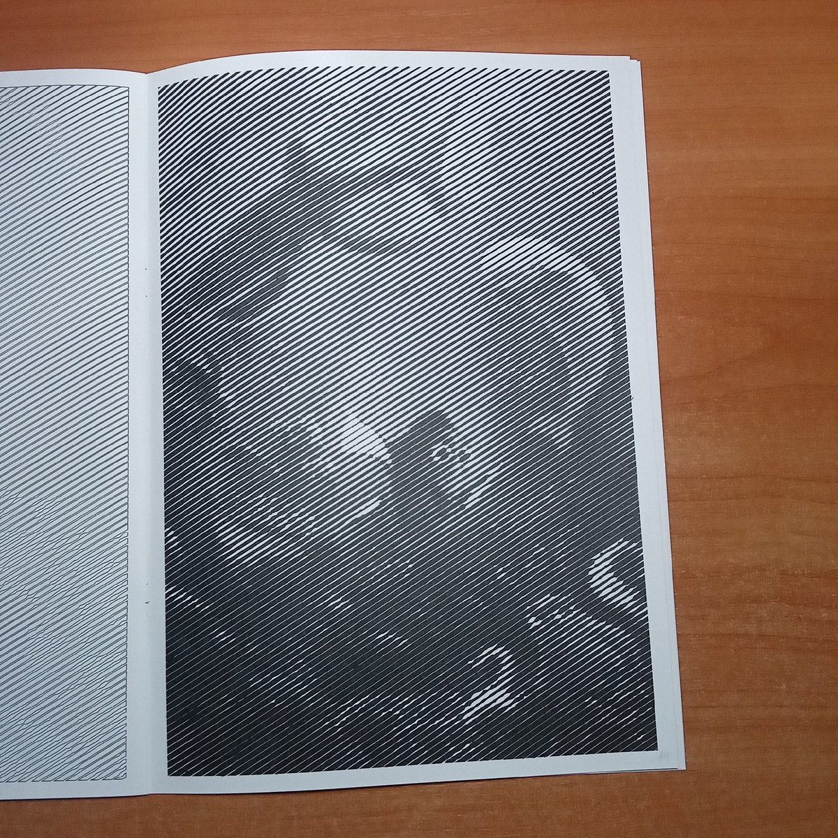 В поисках Дори