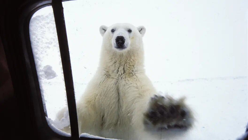    Konrad Wothe/imageBROKER.com/Globallookpress